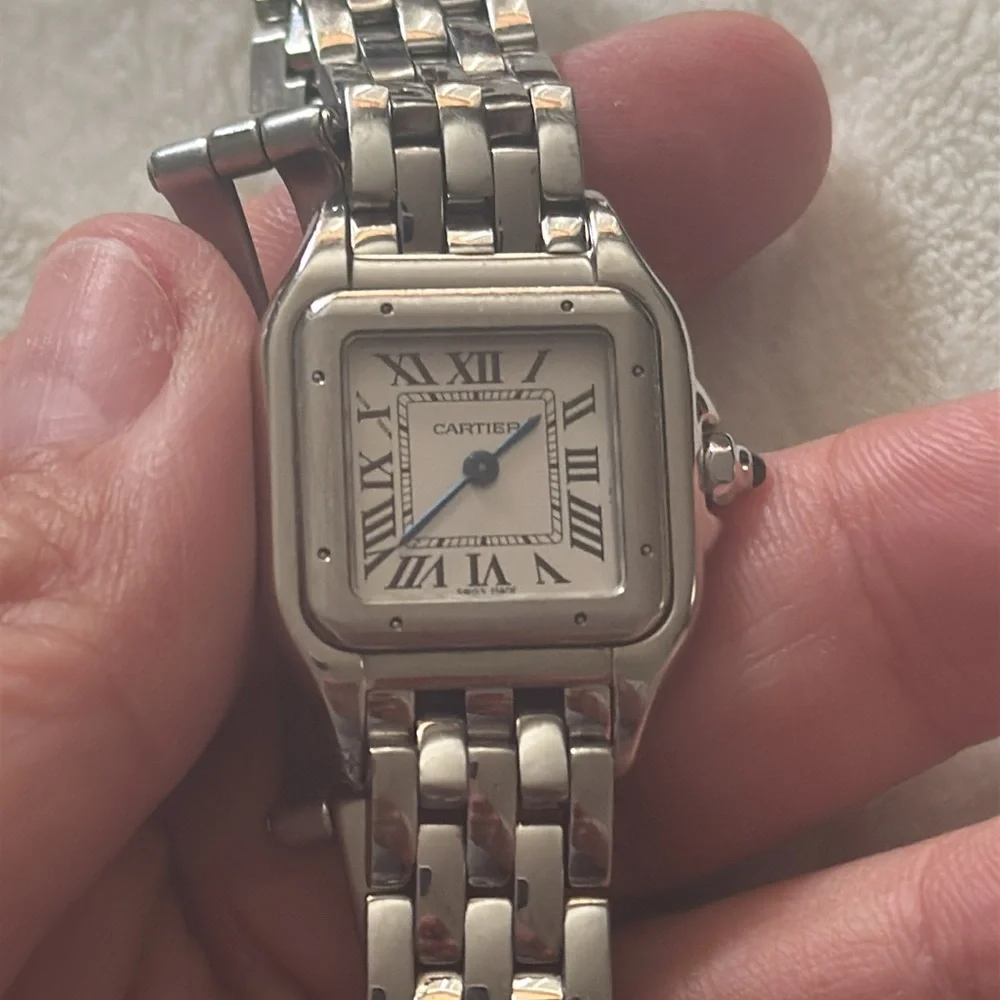 Stainless Steel Panthere Watch - Picture 3 of 8